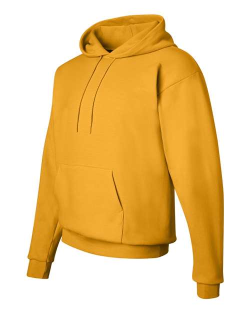 Hanes Unisex EcoSmart® Hooded Sweatshirt P170