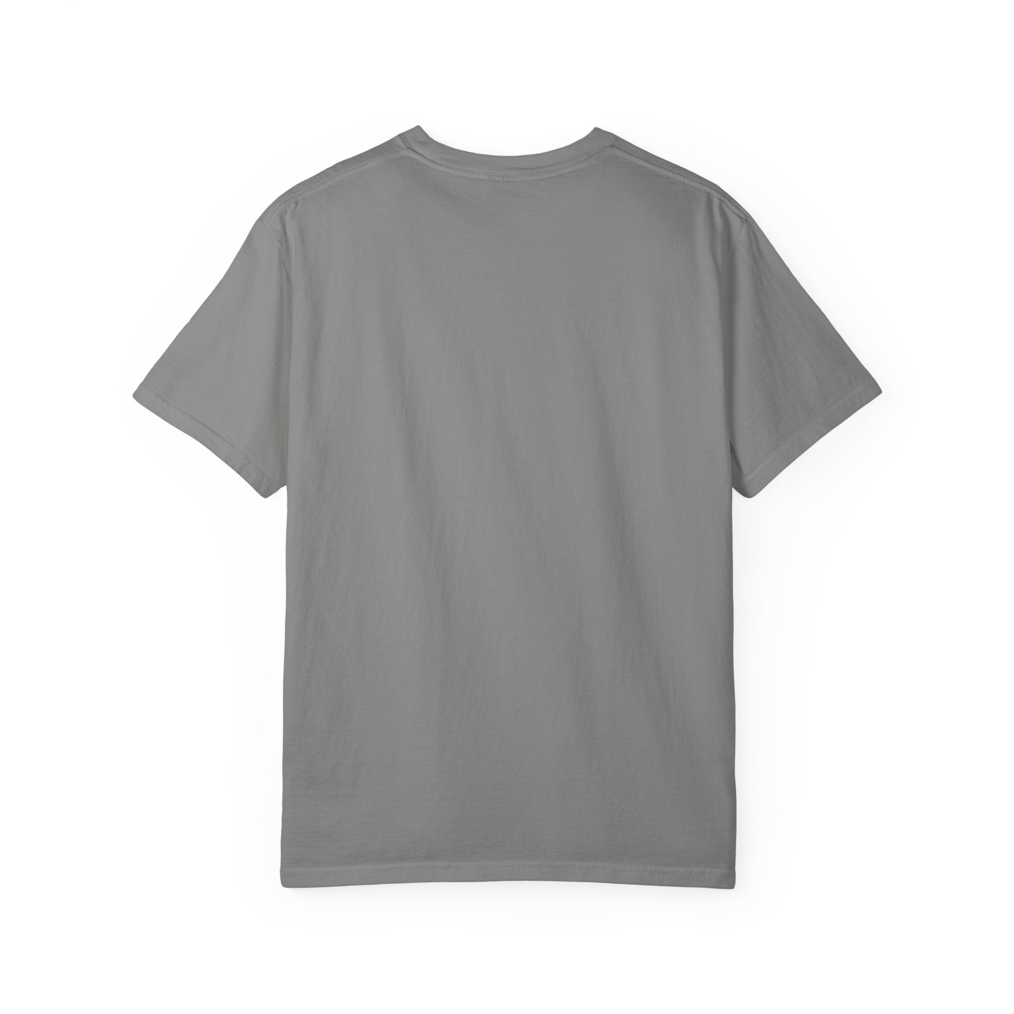 Official Nap Taker T-Shirt | Cute Sleeping Skunk Shirt | Funny Nap Lover Gift