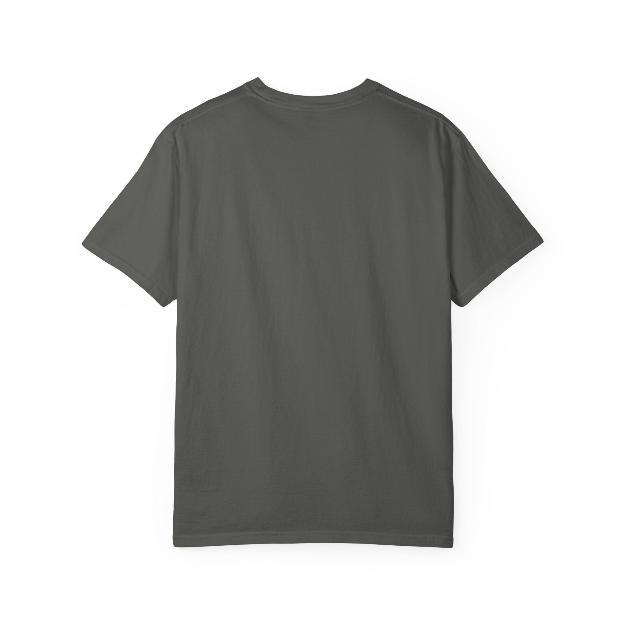 Official Nap Taker T-Shirt | Cute Sleeping Skunk Shirt | Funny Nap Lover Gift