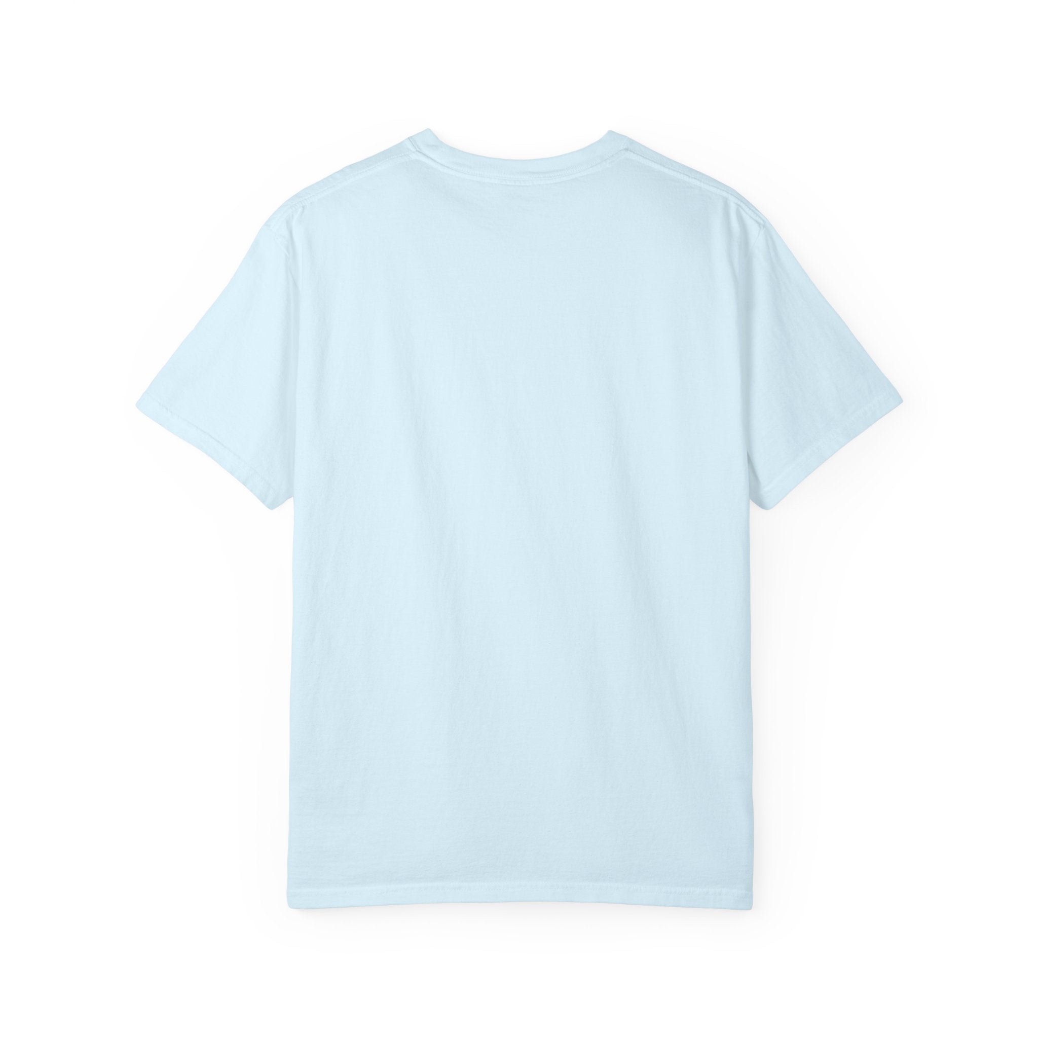 Official Nap Taker T-Shirt | Cute Sleeping Skunk Shirt | Funny Nap Lover Gift