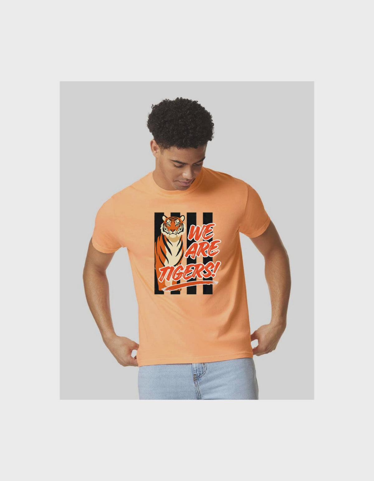 We Are Tigers Kirksville Spirit Shirt